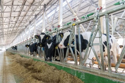 ����������� ��� ������������� ������� ������������ ����������� � ����������� ����������� ������������ � ��������� ��� ��� ������������� �������� �����