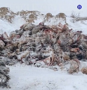 ����� ��������. ������ ���� ��������� ���������� ������ ������������� ������� ���� ������� ��-�� ����������� ������ ������������� ������� ������ ����������� ������