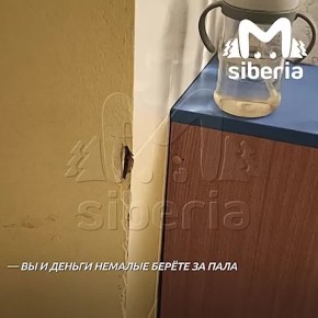 "Получается, перед нами здесь кто-то лежал, и ничего не обрабатывалось"