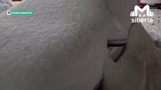 ������ ���������� ������ � ������� � ������������� �������