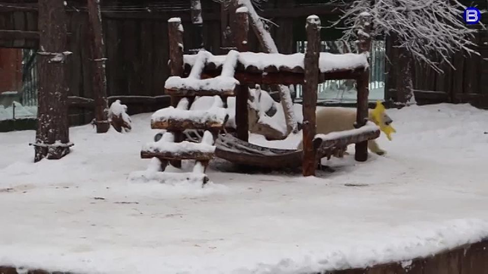 ��������� �������. ������������� �������������� �������� � ����� ��������� ����� � ����� ���� �������