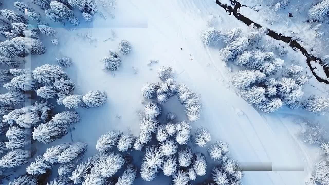 Вести Новосибирск