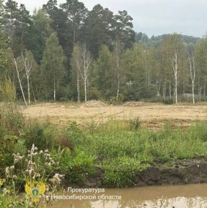 ����� 40 ������� ������� ������� ����� 550 ��� ������ � ������������� �����, �� ��������� ����� ��� � �� ��������: ����������� ������������ ��� � ���������� ������������� ���������� ���� � ������������� ��� �������������...