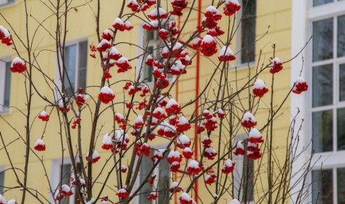 � ������������ ����������, ������� ���� ������� �� ������ -6 ��������