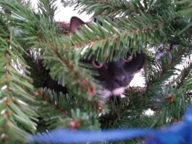 ��� ������� ����� �� ����������� �����