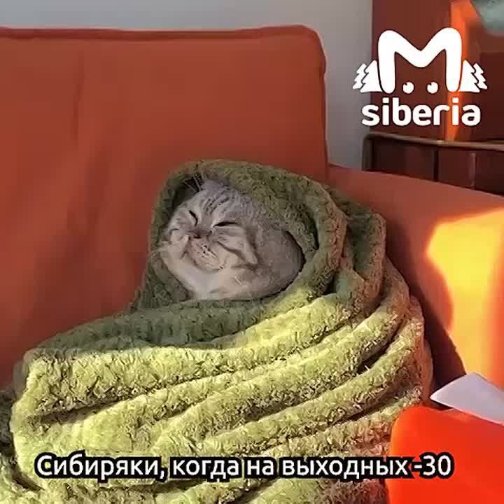 �������� � ������������� ������� ����� ���������