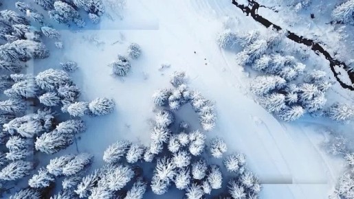 ����� �����������