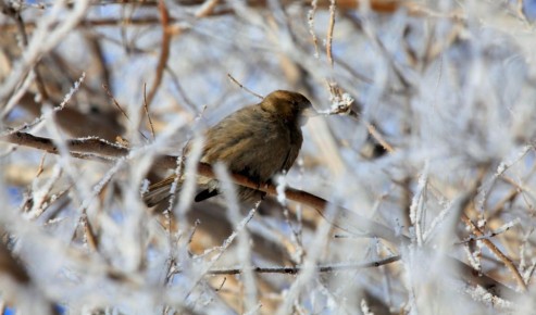 ������� � ������������ ���� ���� ����� ������� � ������