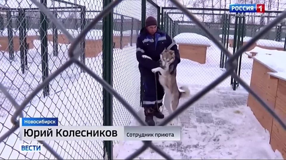 ����� �����. ������ ������������� ����� ��� ��������� ����� ������� � ������������ (�� ����� ������� ������������ 128 ��������)