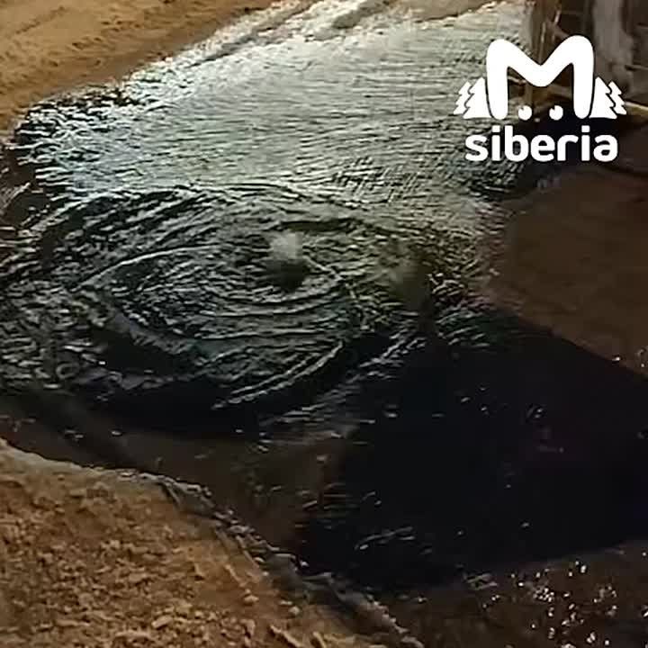 ������ ����� ��-��� �������� �� ��������� � ������������