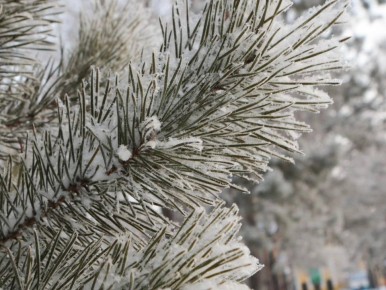 ������� � ������������ ����������� ���������� � �������� �������� ������