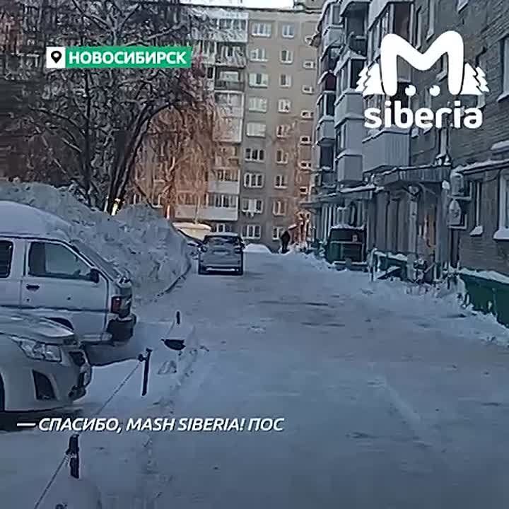 ����� ������ ����� �� ����������� � ������������ ������ ����