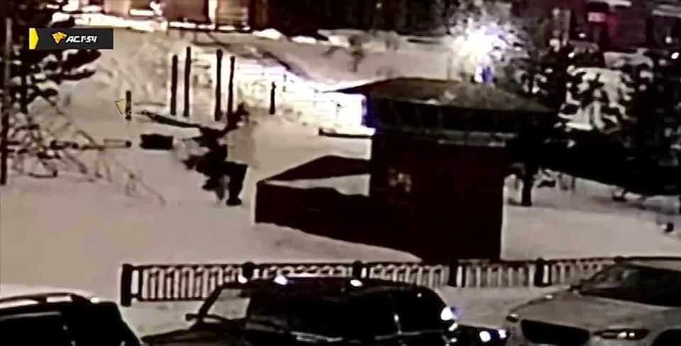 Вопиющий акт вандализма потряс жителей дома №1 по улице Стартовой в Новосибирске: мужчина сломал пополам растущую во дворе ёлочку