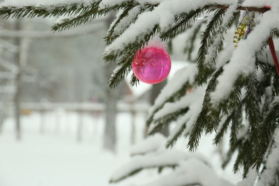 В последний понедельник этого года в Новосибирске будет ясная и морозная погода, без осадков
