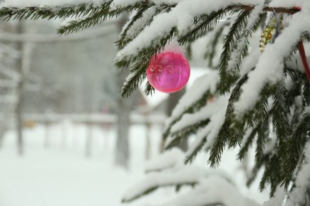 � ��������� ����������� ����� ���� � ������������ ����� ����� � �������� ������, ��� �������