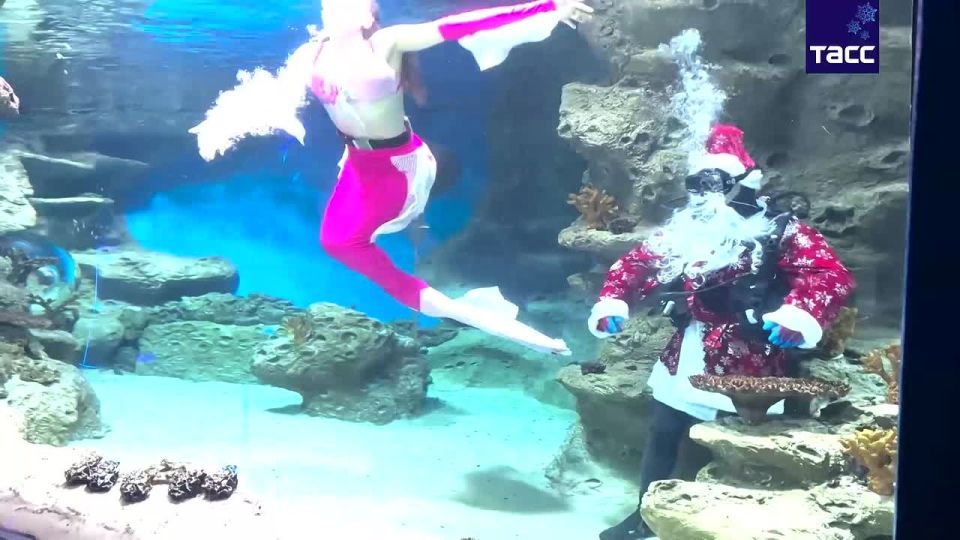 �������������� ������� � ������������� �����������