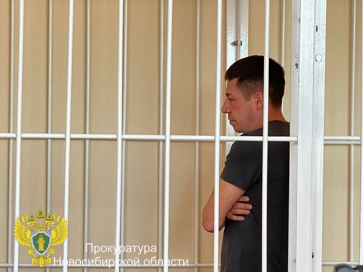 В Новосибирске мужчина ответит в суде за причинение вреда здоровью и истязание жены и ребенка