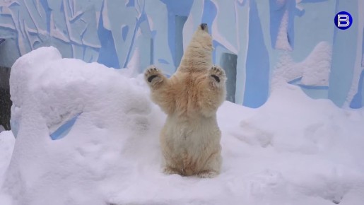 ���������� ���� ���. ����� ������� ��� �� �������������� �������� ������� ��������� ���! ����� �� ������ ����, �� ���������� ������, ������� ���� � ����� ������ �������� � �������� ������ ������