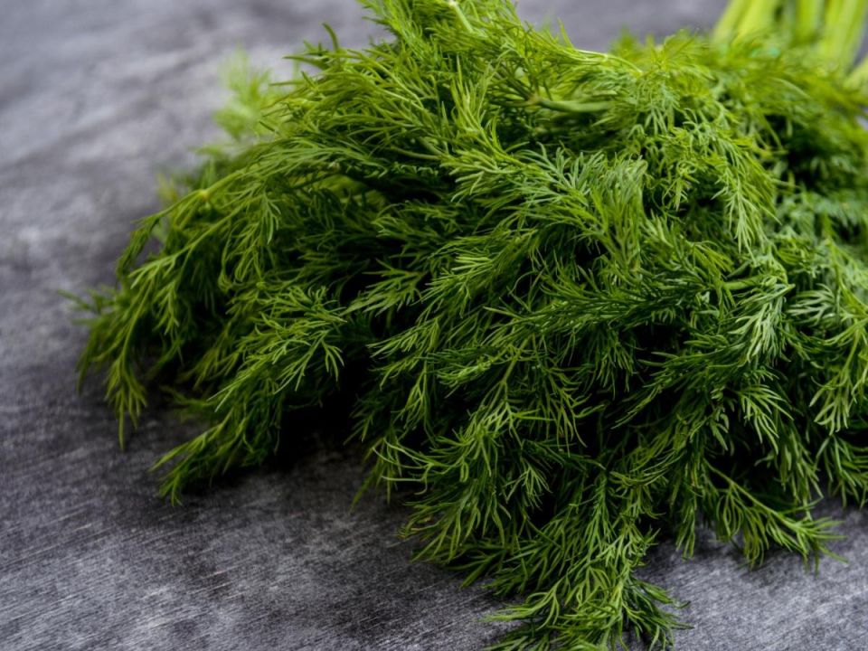 ������� ����� ����� ������: ��� �������� ������ ����� ���������