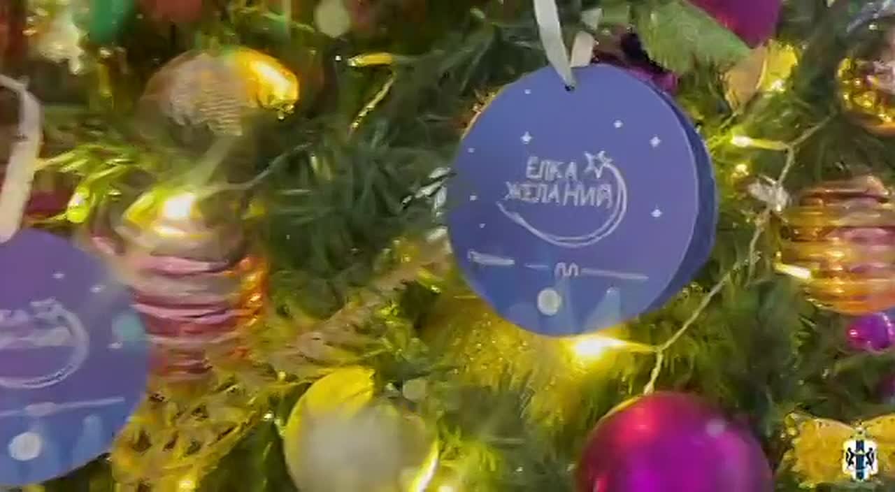 В рамках Всероссийской акции «Ёлка желаний» сотрудники ГУ МВД России по Новосибирской области исполнили новогоднюю мечту 5-летней Изабеллы и 8-летней Виктории