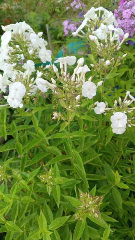 ��������� �������������: ��� �������� ������� � ����� ������ ����