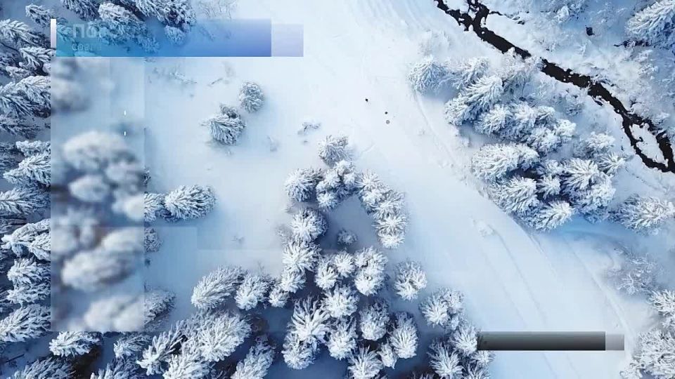 ����� �����������