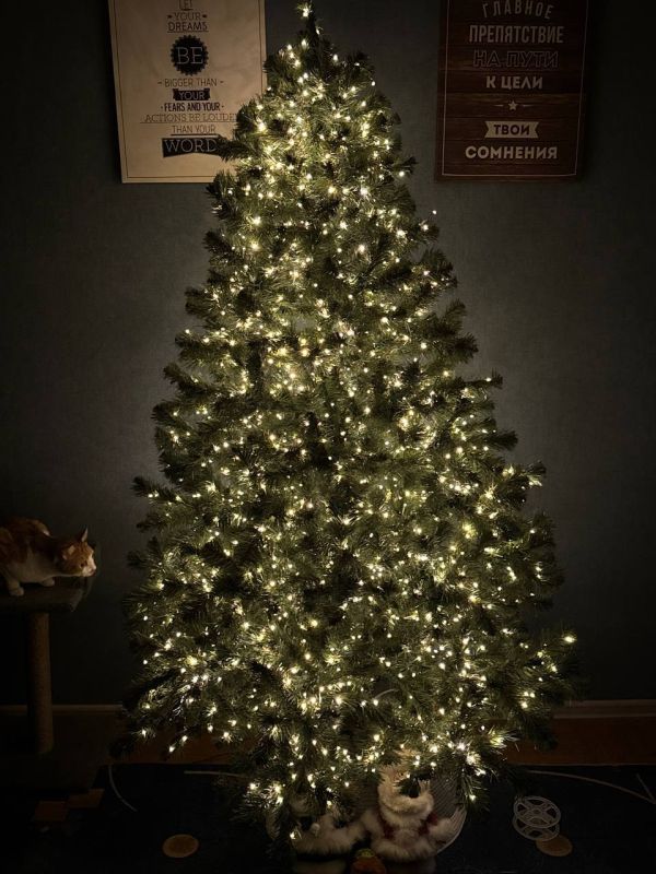 ���� ��������, �������� ����������� ���������, ������� ���������, ����� �������, ����������� ������