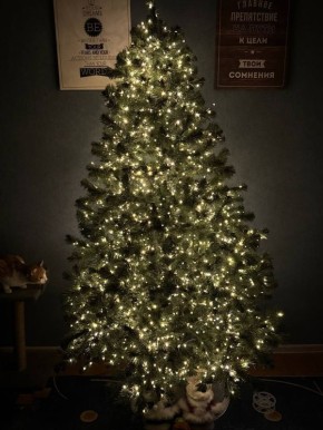 Ёлки наряжены, гирлянды подмигивают огоньками, подарки упакованы, столы накрыты, мандаринами пахнет