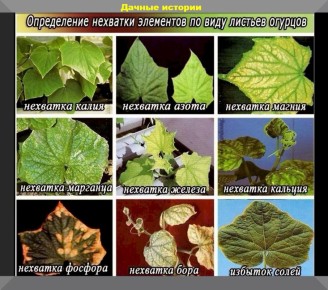 ��� ������� ��������� ��������� ��� ��������� ������: ������ ��� ���������