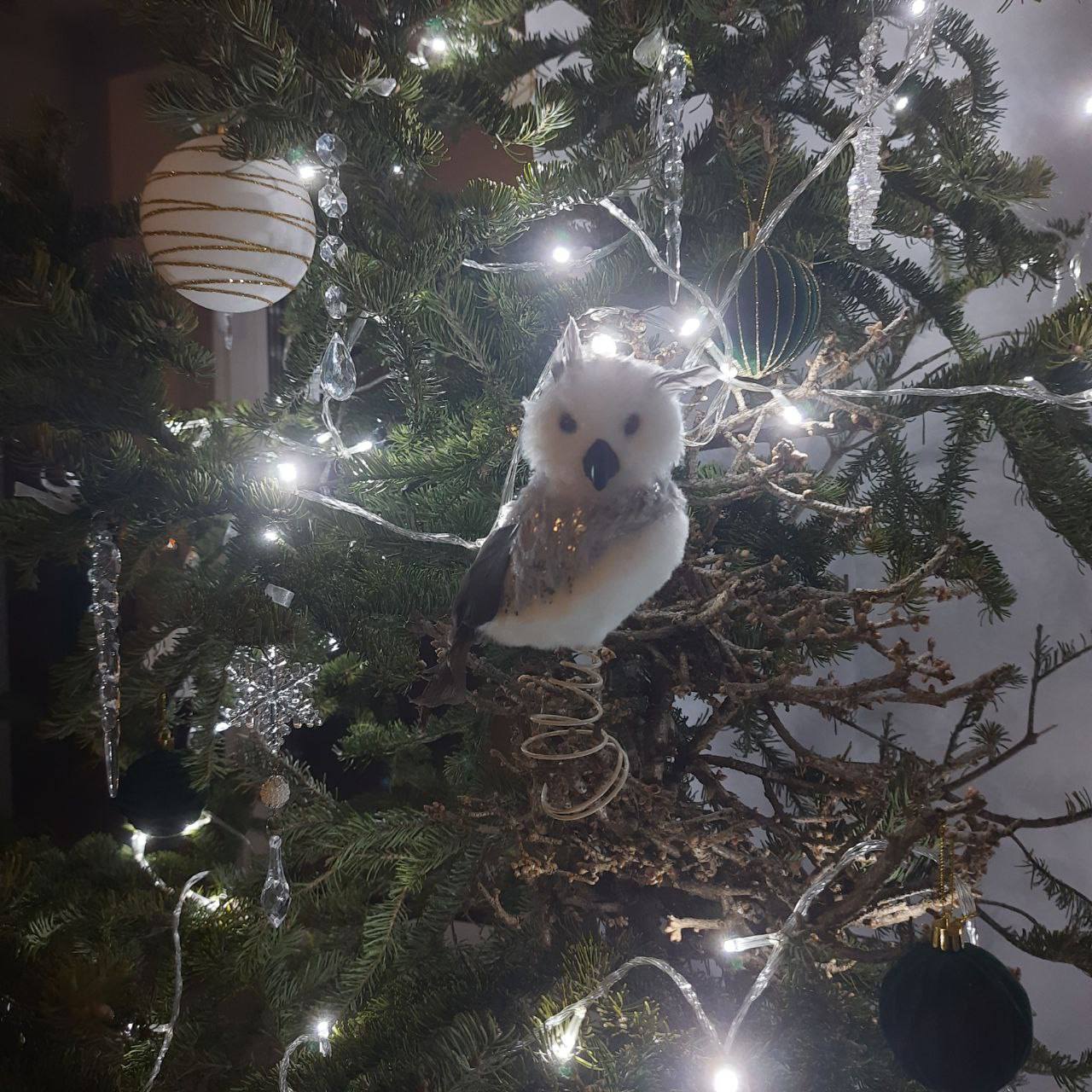 Ёлки наряжены, гирлянды подмигивают огоньками, подарки упакованы, столы накрыты, мандаринами пахнет Ёлки наряжены, гирлянды подмигивают огоньками, подарки упакованы, столы накрыты, мандаринами пахнет