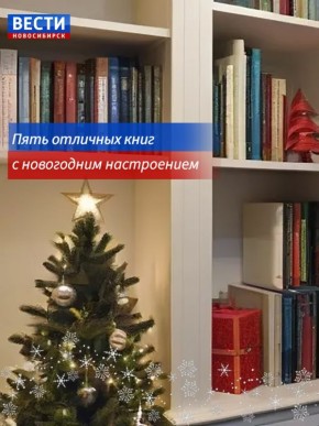 Книги с новогодним настроением