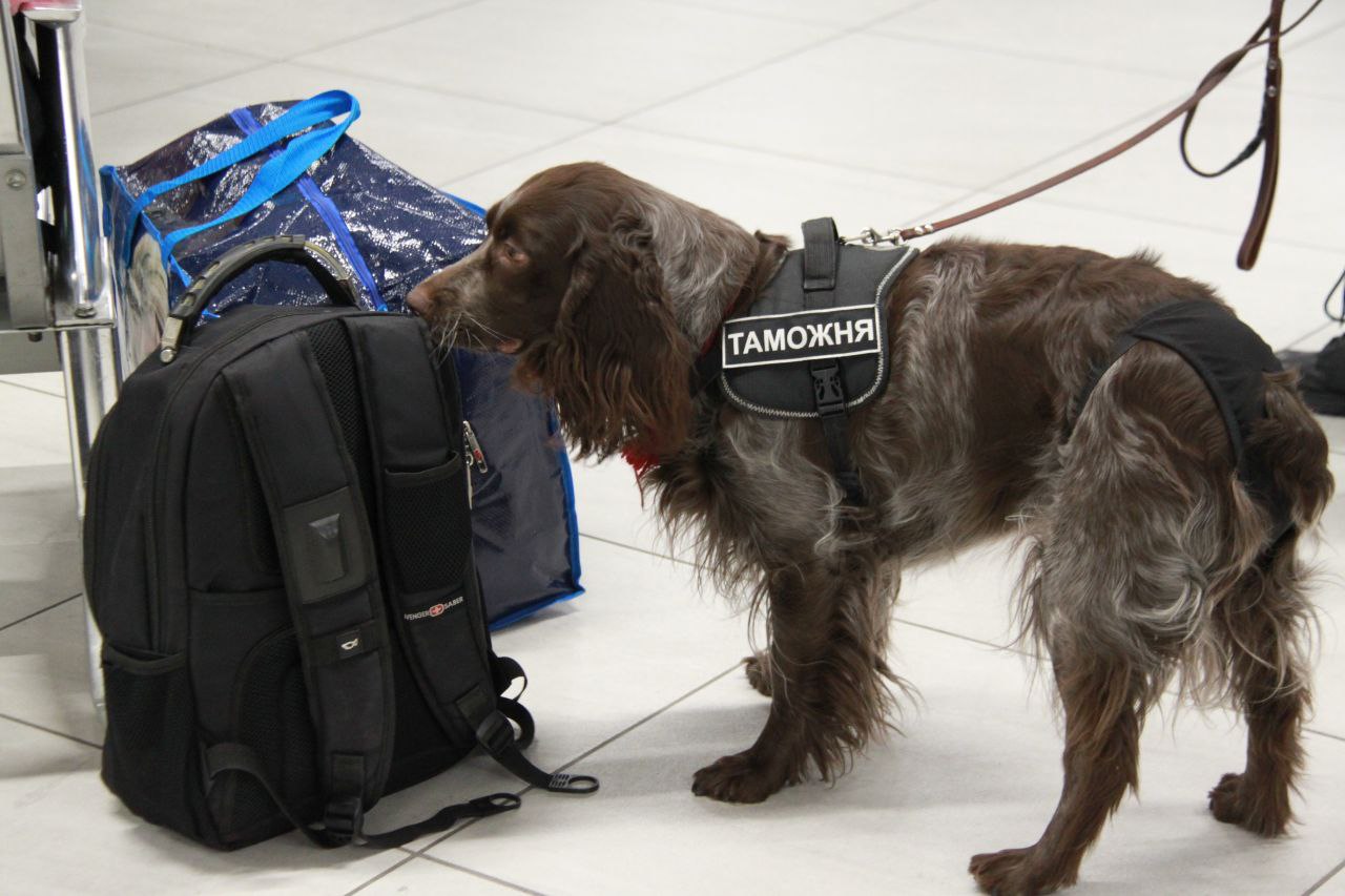 Даже в праздники — на боевом посту! Даже в праздники — на боевом посту!