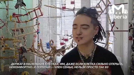 Попугай, в честь которого бьют тату и рисуют картины, живёт в новосибирском Академгородке