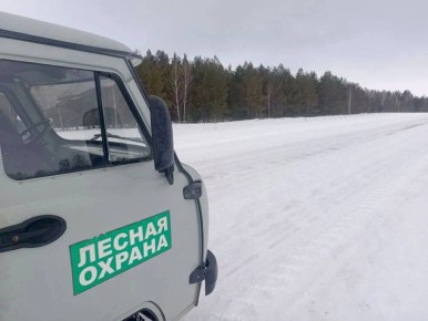 На период новогодних каникул подразделения инспекторов лесоохраны усилили казачьи дружины