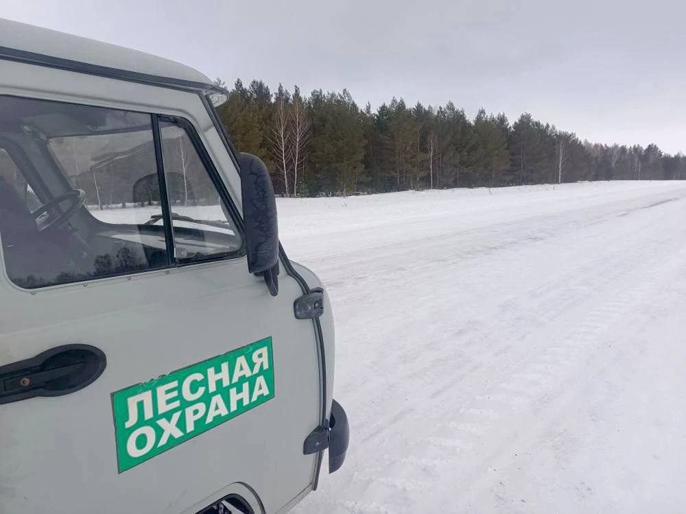 На период новогодних каникул подразделения инспекторов лесоохраны усилили казачьи дружины