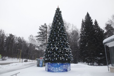 Выбираем самую красивую ёлку в городе!