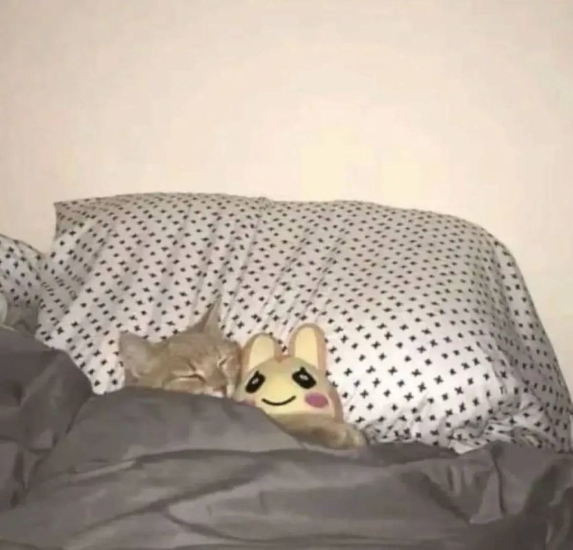 ����������� � �� ������ ������? ��� ���� ��������, ������� �������