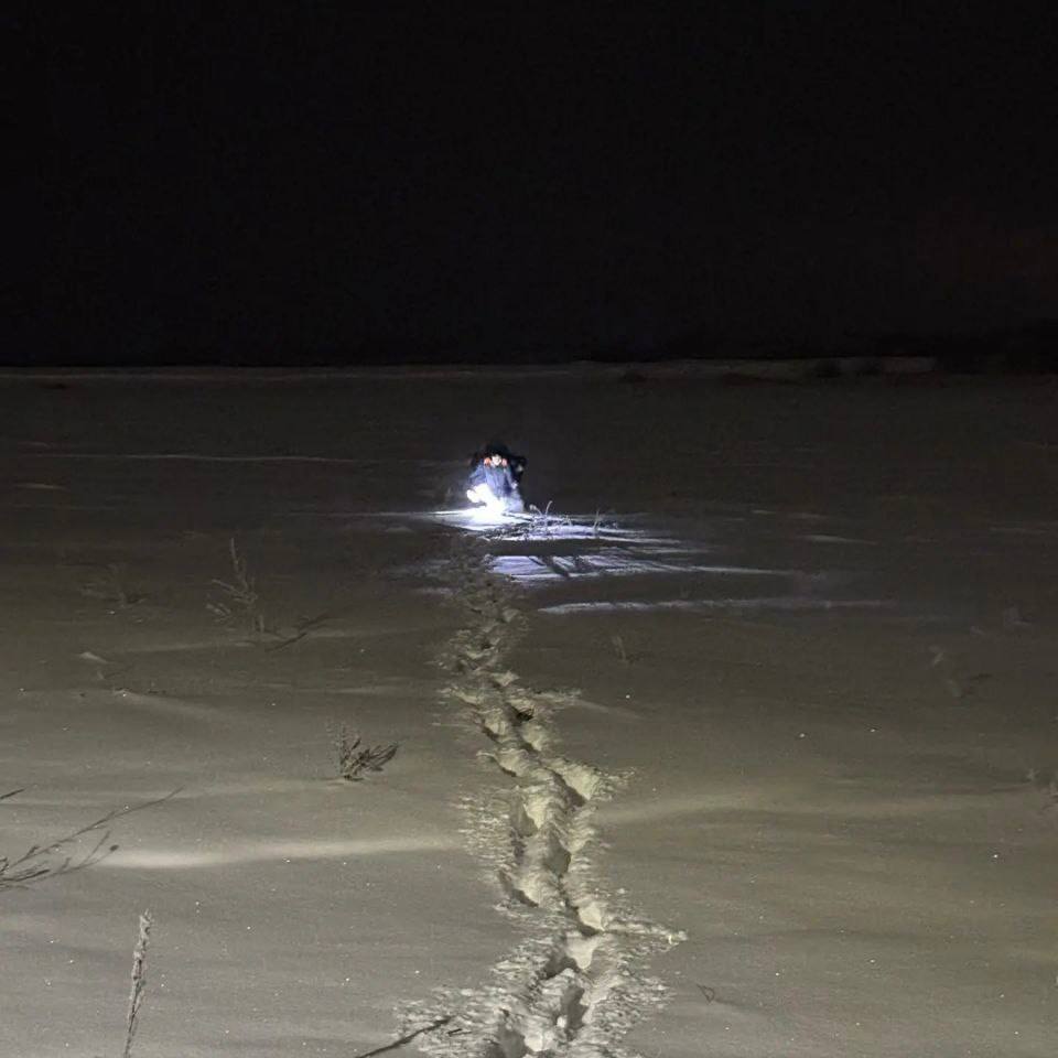 Спасатели на спине вынесли бабушку, застрявшую в сугробе в Новосибирской области