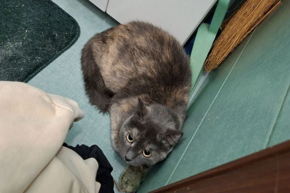 ��� � �� ����������: � ������������ ����� ��� ��� ����� �����