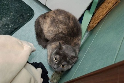 ��� � �� ����������: � ������������ ����� ��� ��� ����� �����