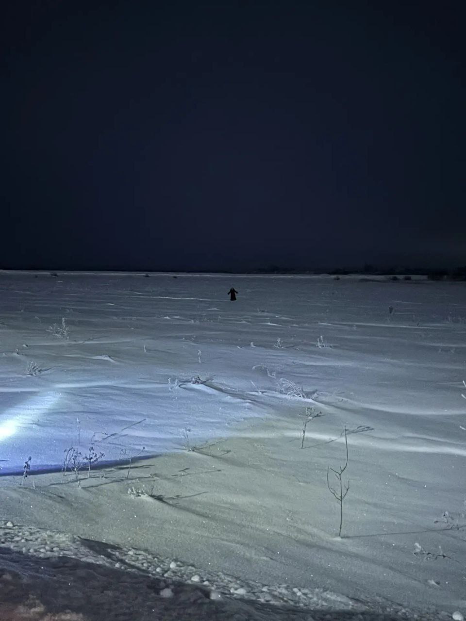 В Новосибирской области спасатели вынесли на спине заблудившуюся в поле бабушку В Новосибирской области спасатели вынесли на спине заблудившуюся в поле бабушку