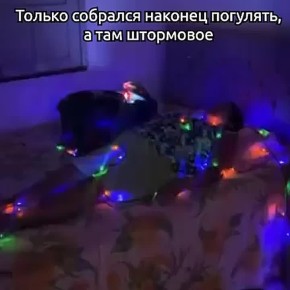 ������ ������ 2026-�� ������ ������� ������������� �������