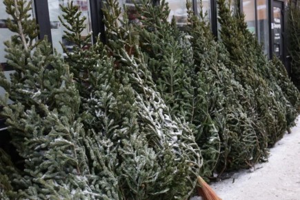 ���������� ���� ������ ��������� �� ���������� � 13 ������