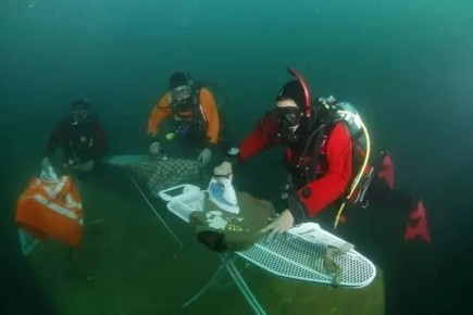 ����� ���� ������ ����������: ��������� ��� �� ��������� �����, � ������� ��, ������ �����, �� �������