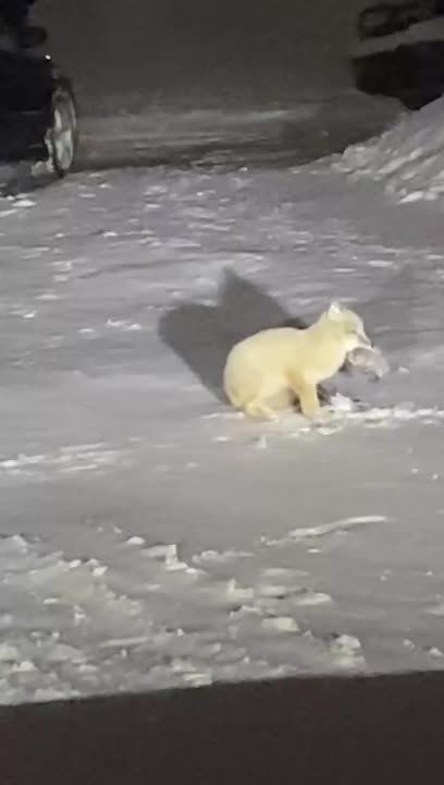 ������� �� ��������� �������� ������� ����� �� ������ ������� � ������������