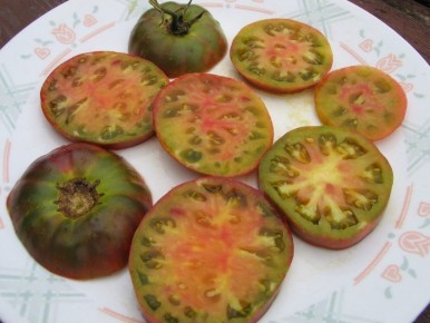 ����� ������ ����: ��������� ����������� ����� � ������ �����