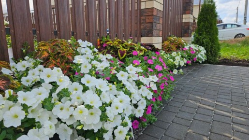 ��� �������������� ������� �� ������ ����� ����: ������� ��� �������������?