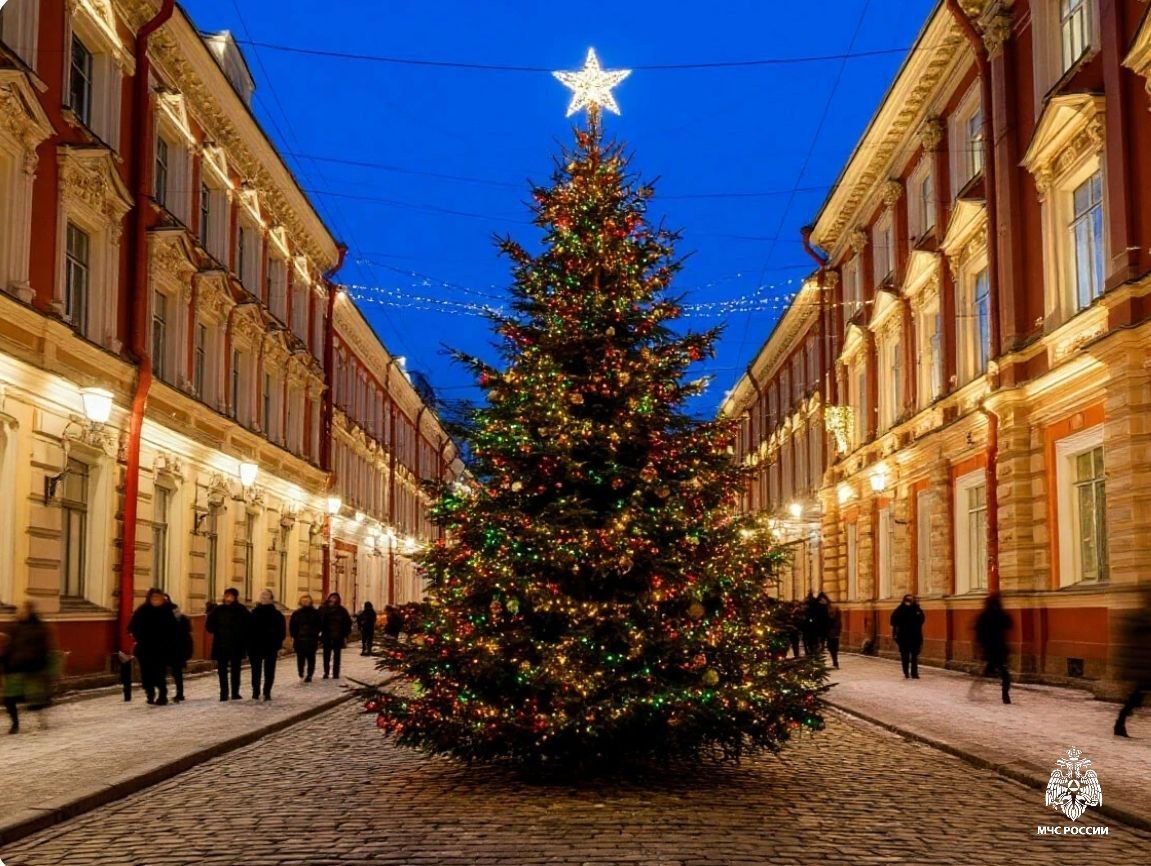МЧС России обеспечивает безопасность на рождественских мероприятиях в Новосибирской области
