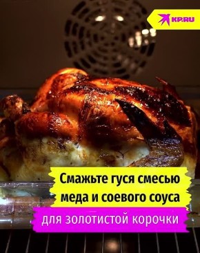 ����� ������� ����� �� ����� ����� � ���������? ���������� ����������� ����������� ���� � �������