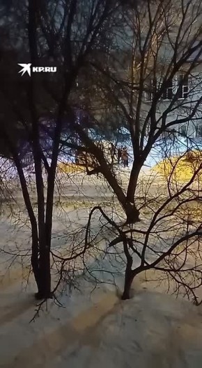 ������ ������ ���� �� ������ �� ����� 1 ������ � ������������